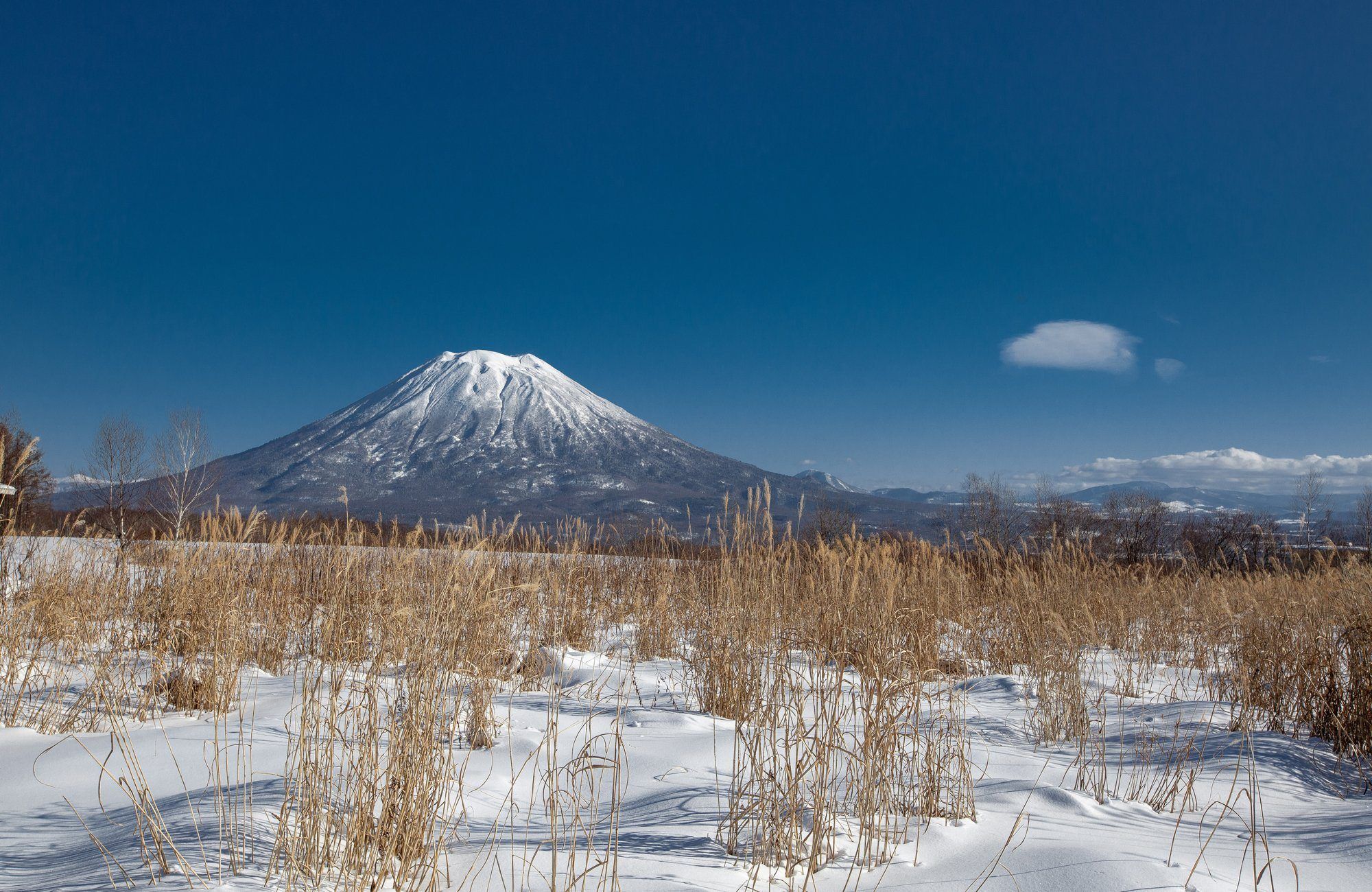 Hokkaido (Japón) – Misswood