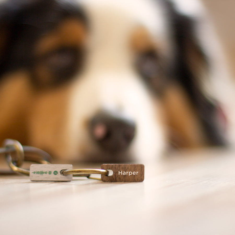 Tag con el nombre de la mascota que acompaña la tag en esta foto