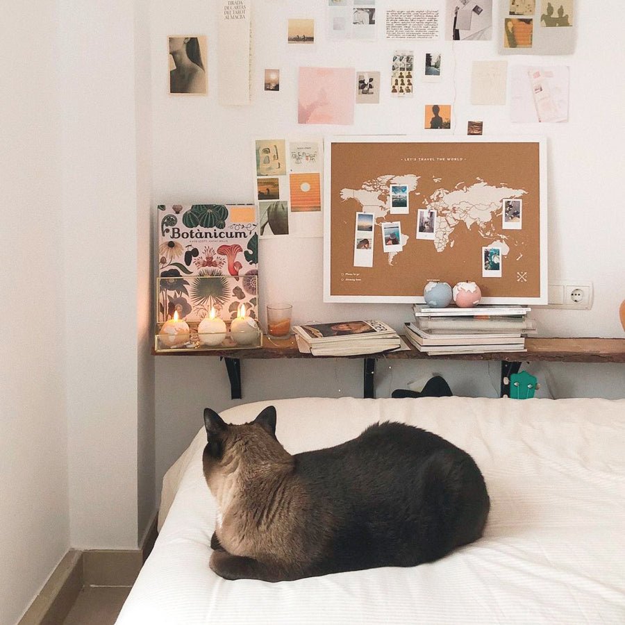 Mapamundi corcho - Woody Map Natural World - Misswood