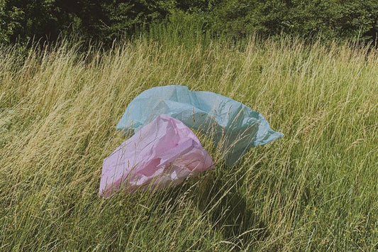 5 hábitos para favorecer el fin del usar y tirar - Misswood