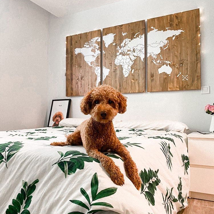 Mapamundi de madera para decorar la pared, realizado con varias capas de  madera tintada con nombres grabados - efecto único 3D, para sala de estar,  oficina, dormitorio (XL Adventurer 200x115cm) : 