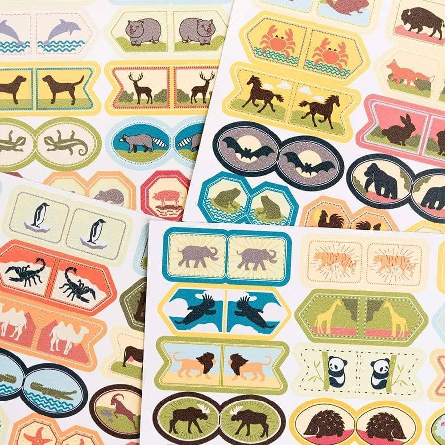 Pack mapamundi + Banderas decorativas - Misswood